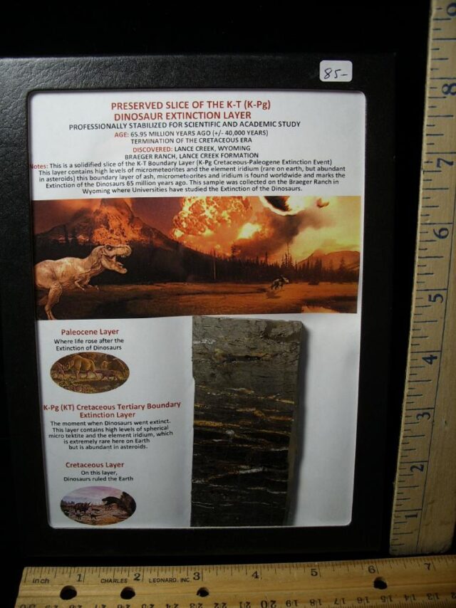 Preserved Slice of the K-T Layer (040822j)