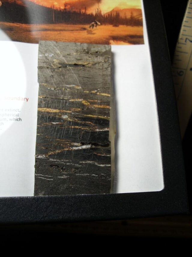 Preserved Slice of the K-T Layer (040822j) - Image 2