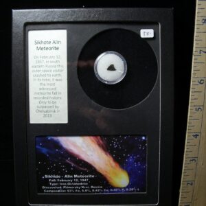 Authentic Meteorite “Sikhote Alin” (041622j)