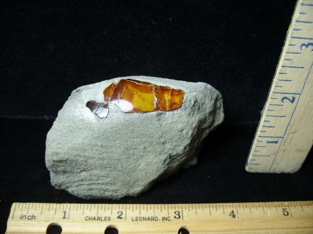 Dominican Amber Specimen in Rock  (042722r)