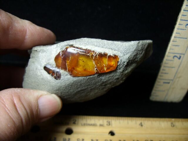 Dominican Amber Specimen in Rock  (042722r) - Image 2