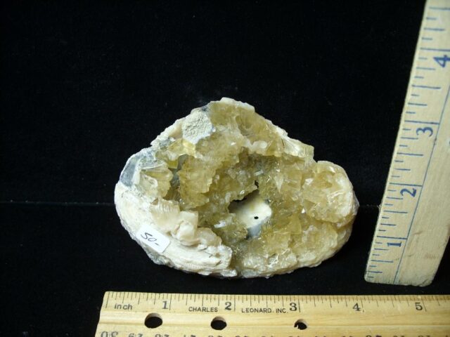 Fossilized Calcite Crystal filled Clam (043022k)