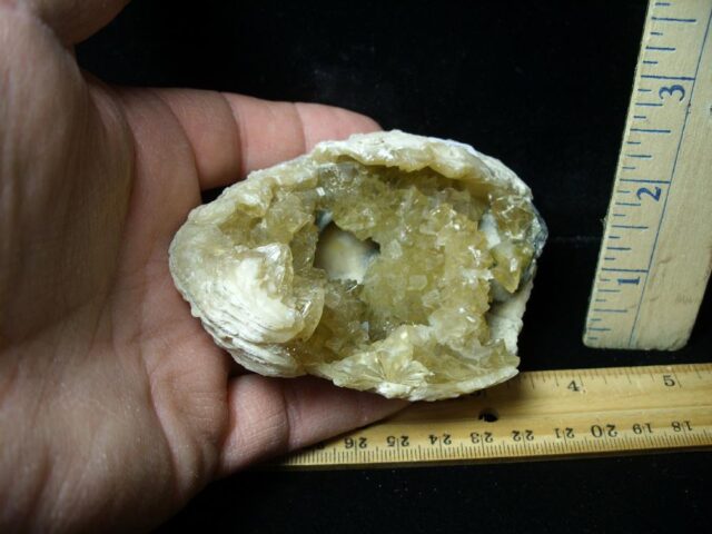 Fossilized Calcite Crystal filled Clam (043022k) - Image 3