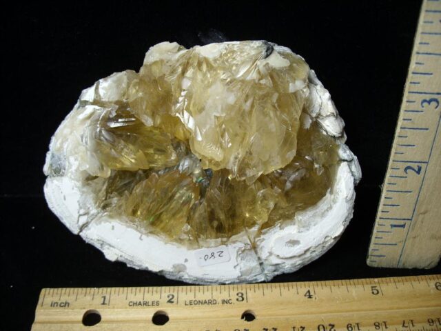 Fossilized Calcite Crystal filled Clam (043022m)