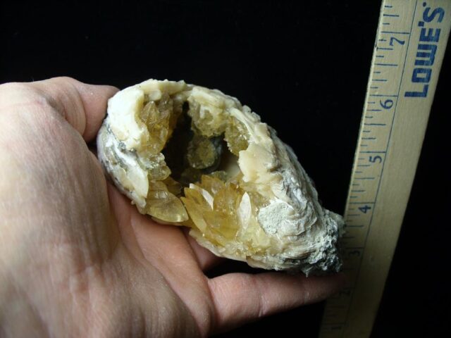 Fossilized Calcite Crystal filled Clam (042822p) - Image 2