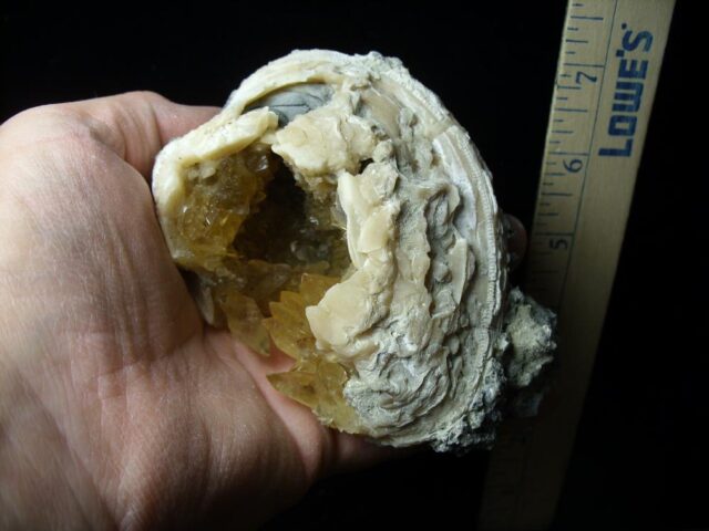 Fossilized Calcite Crystal filled Clam (042822p) - Image 3