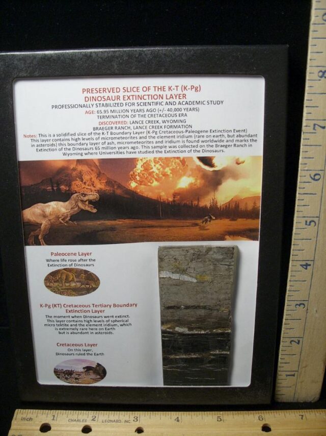 Preserved Slice of the K-T Layer (061822n)