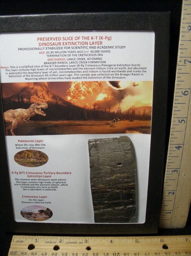 Preserved Slice of the K-T Layer (061822r)