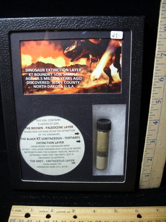 Preserved K-T Layer Sample (071822a)