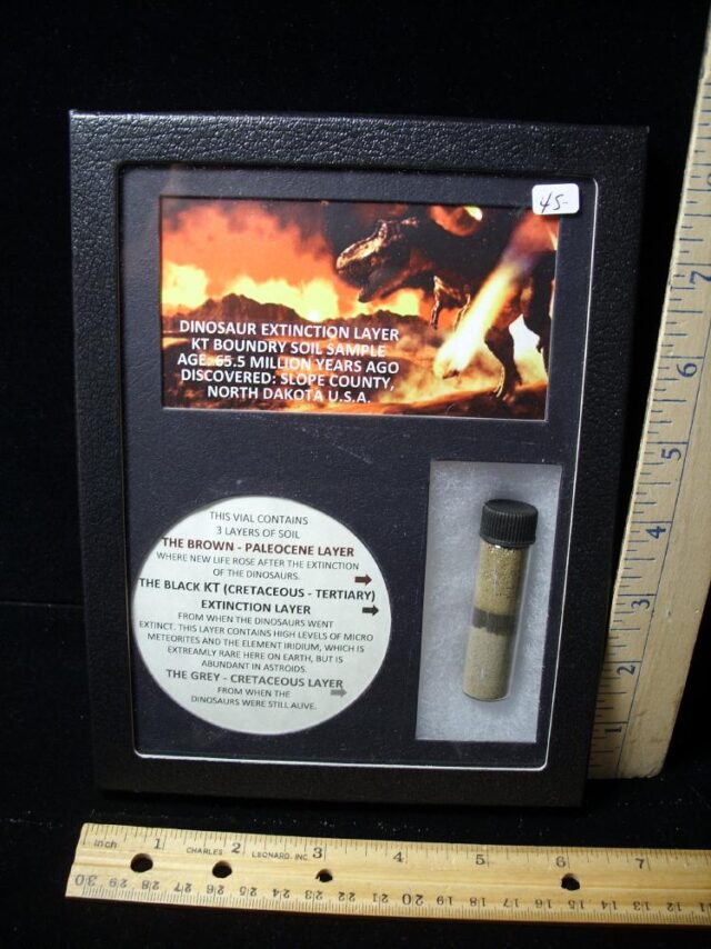 Preserved K-T  Layer Sample (071822b)