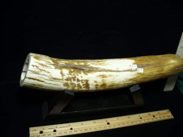 ***CHRISTMAS IS COMING SALE***  Mammoth Tusk Partial Specimen(072922e) - Image 3