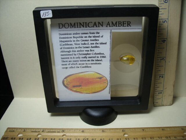 Dominican Amber Specimen with Mosquito & Fly (091822a) - Image 3