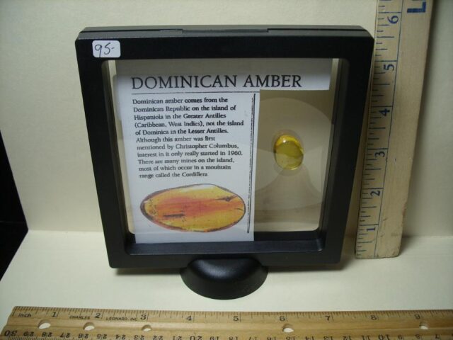 Dominican Amber Specimen with Mosquito  (091822b) - Image 3