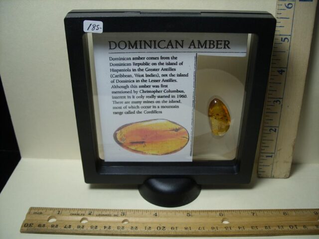 Dominican Amber Specimen with Mosquito, Wasp, Spider, & Fly  (091822e) - Image 3