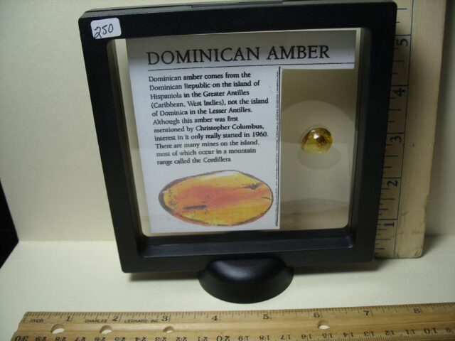 Dominican Amber Specimen with Excellent Fly  (091822g) - Image 3