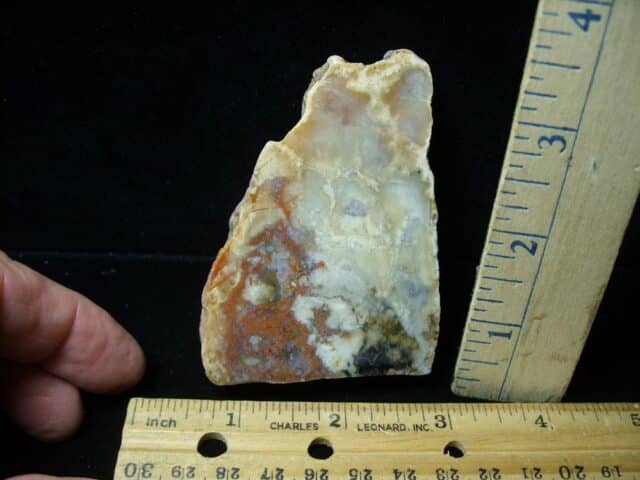 Dinosaur Coprolite  (Poop) (092022d)