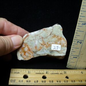 Dinosaur Coprolite  (Poop) (092022f)