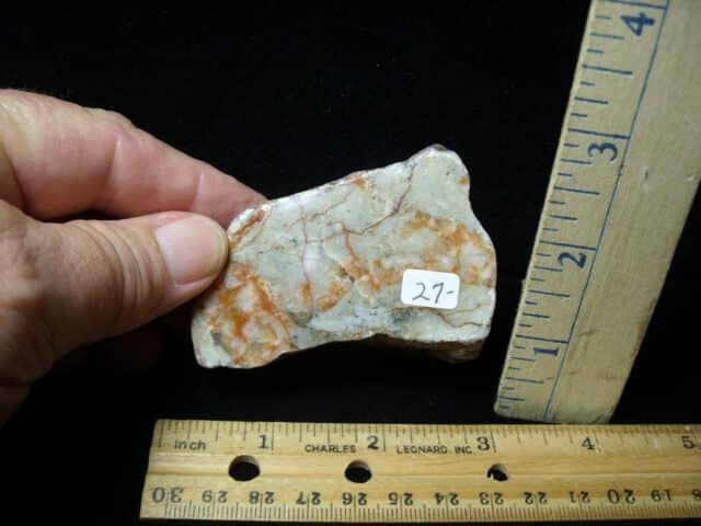Dinosaur Coprolite  (Poop) (092022f)