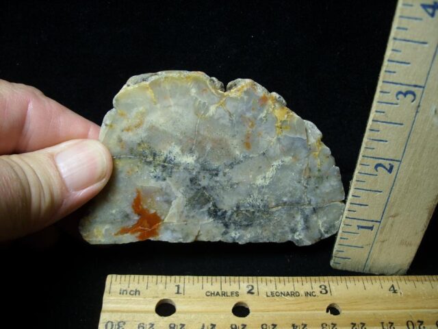Dinosaur Coprolite  (Poop) (092022g)
