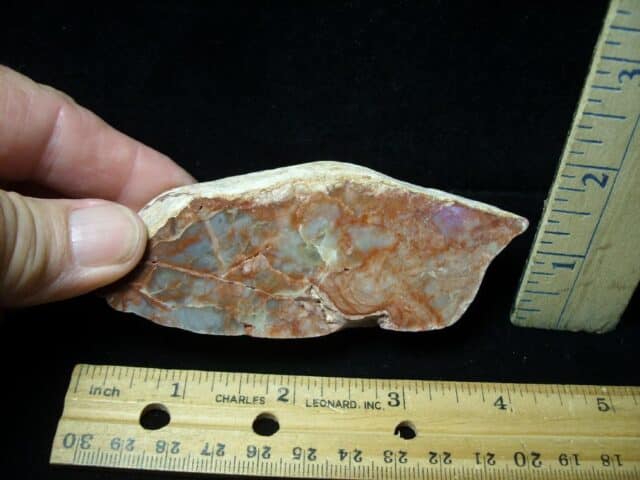 Dinosaur Coprolite  (Poop) (092022h)