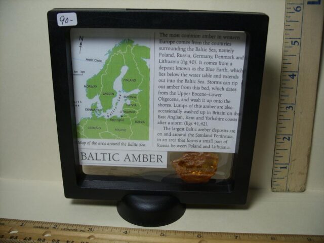 Baltic Amber Specimen with Mosquito (062322r) - Image 3