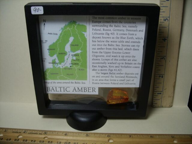 Baltic Amber Specimen with Wasp  (061822w) - Image 3