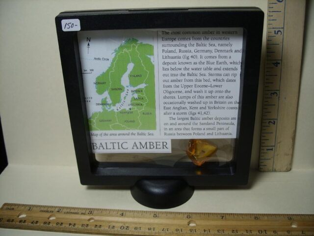 Baltic Amber Specimen with 2 Mosquito  (062322v) - Image 3