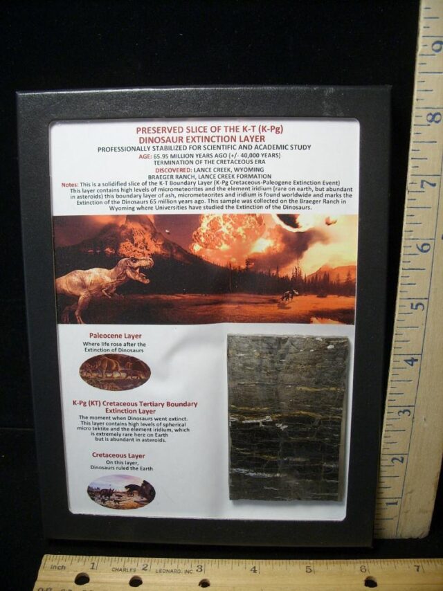 Preserved Slice of the K-T Layer (092522f)