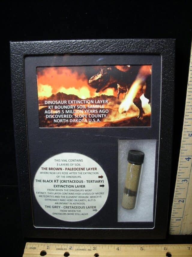 Preserved K-T  Boundary Layer Sample (092522j)