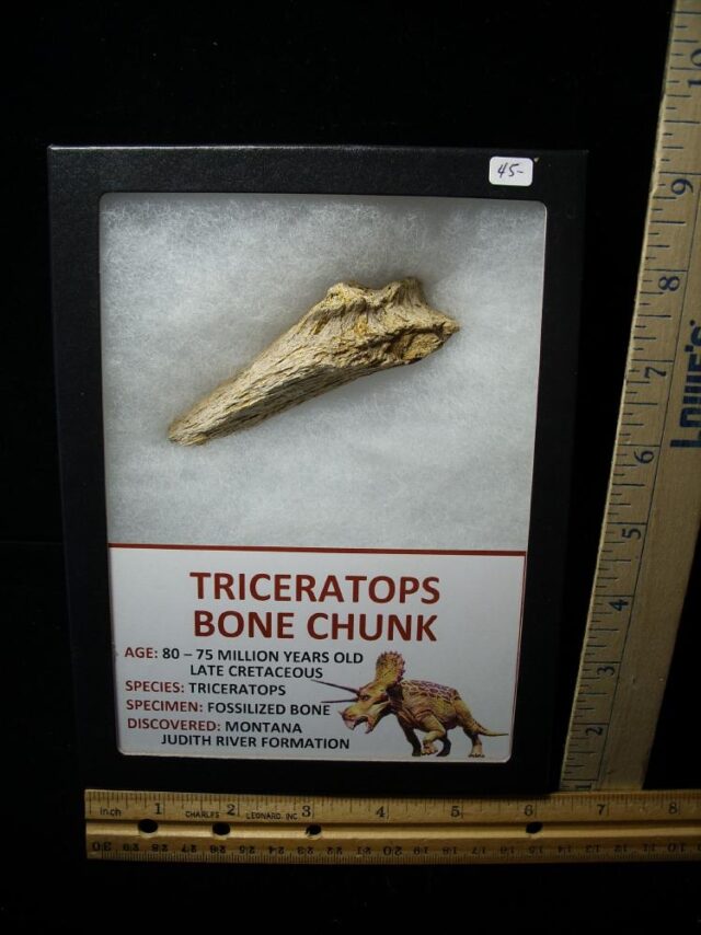 Cretaceous Age Dinosaur Bone (101122g)