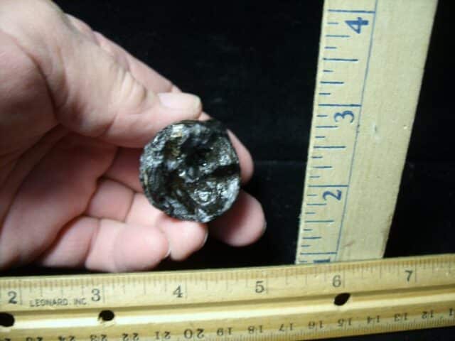 Deinosuchus Fossil Tooth (062322w) - Image 3