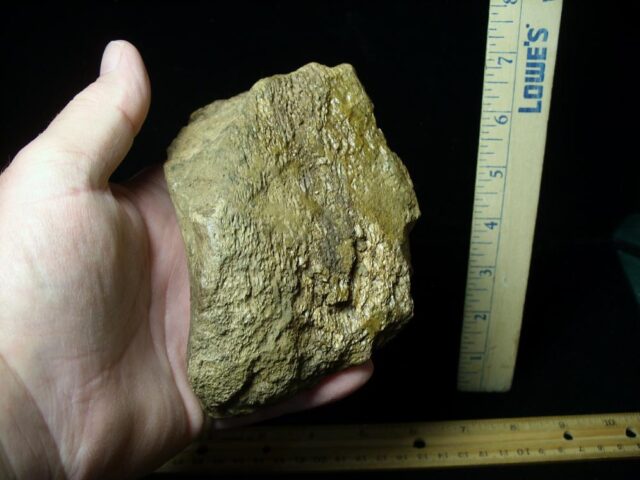 Partial Triceratops Dinosaur Bone (102822f) - Image 4