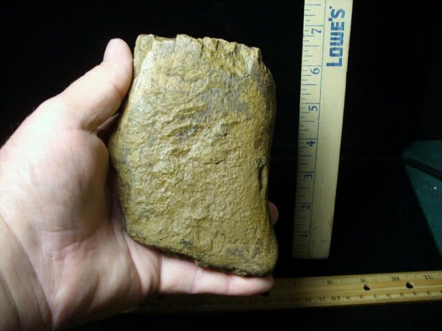 Partial Triceratops Dinosaur Bone (102822f) - Image 5