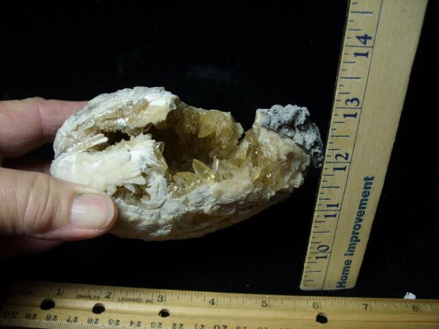 Mercenaria Calcite Crystal filled Clam (111522c)