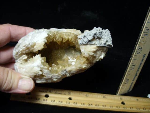 Mercenaria Calcite Crystal filled Clam (111522c) - Image 2