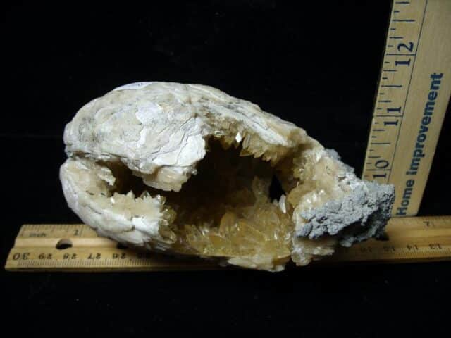 Mercenaria Calcite Crystal filled Clam (111522c) - Image 4