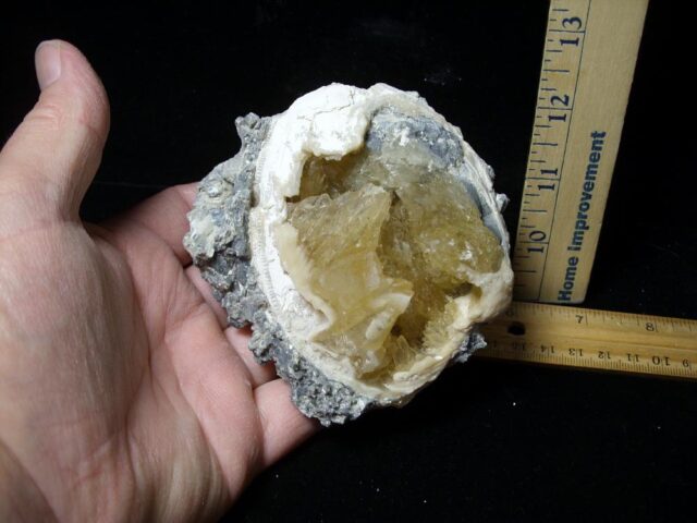 Mercenaria Calcite Crystal filled Clam (111522d - Image 2