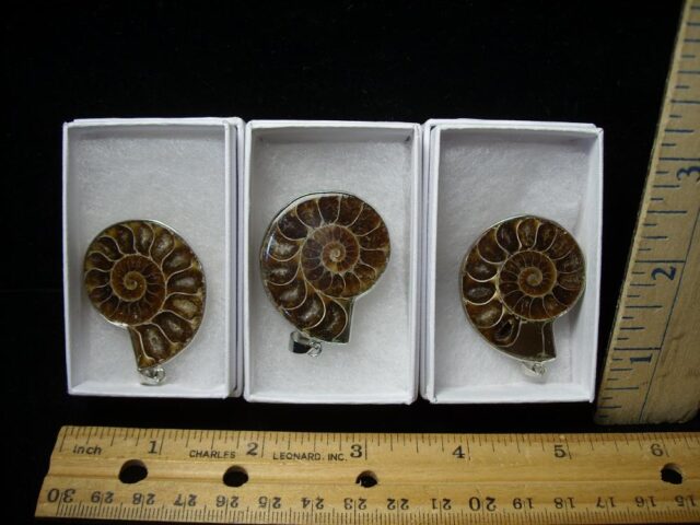 "CLOSE OUR PRICE" Ammonite Pendants (121322f)