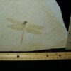 Large Fossilized “Dragonfly ” in Matrix  (121522f)