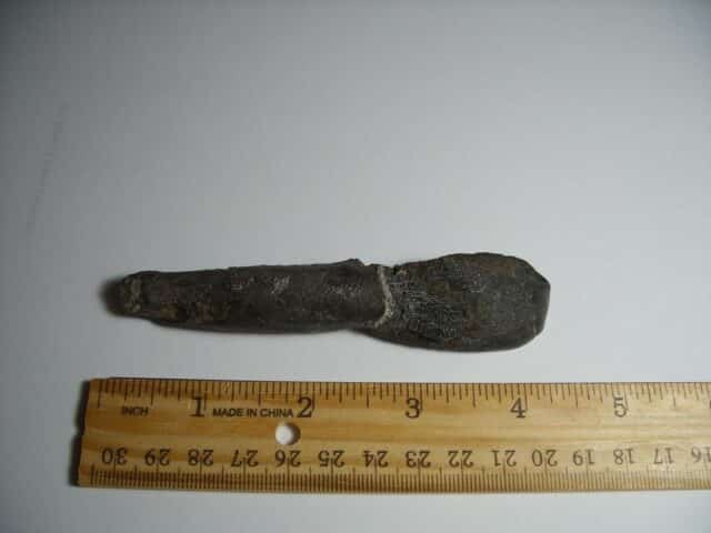 Camarasaurus Dinosaur Tooth (012823c) - Image 3