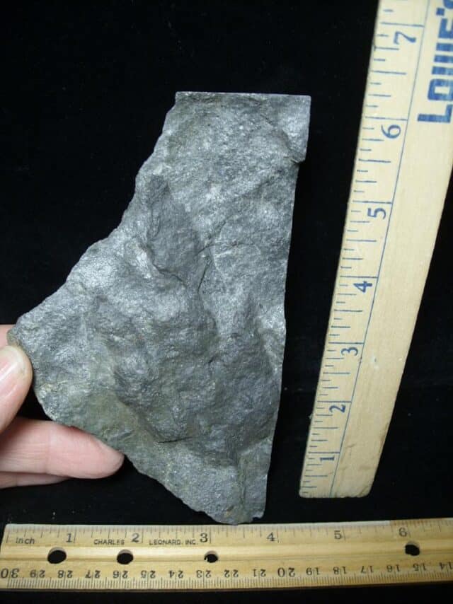 Small DINOSAUR TRACK (021323f)