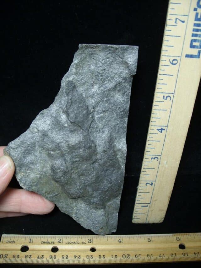 Small DINOSAUR TRACK (021323f) - Image 2