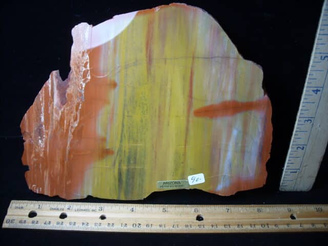 Arizona Petrified Wood (020825h)) - Image 2