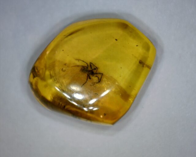 Dominican Amber Specimen with Spider (032023b) - Image 2