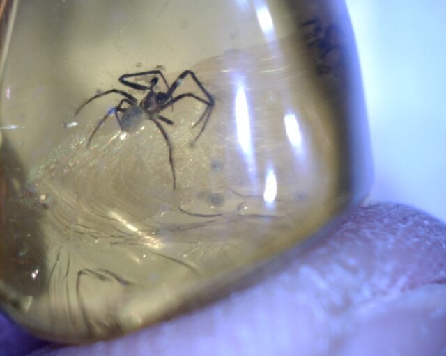 Dominican Amber Specimen with Spider (032023b)