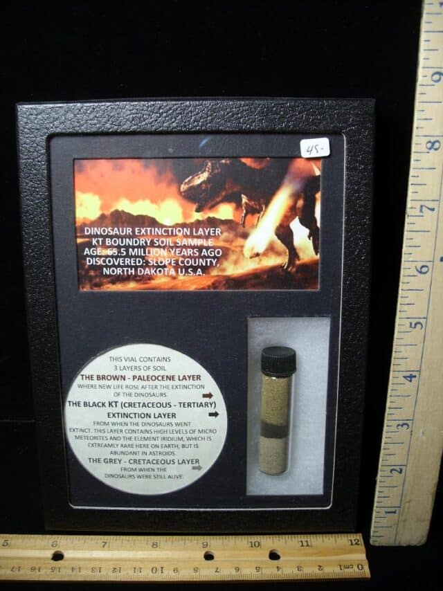 Preserved K-T  Boundary Layer Sample (040123b)