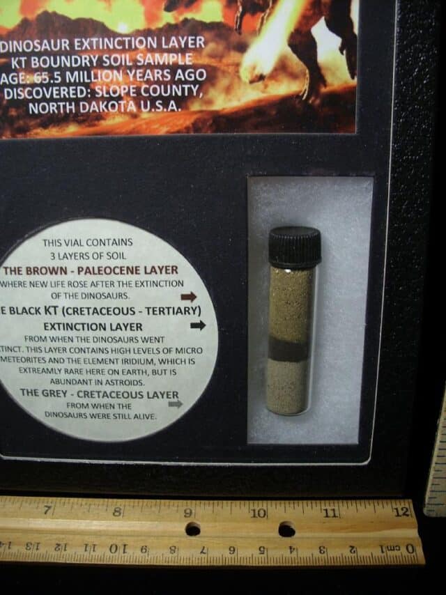 Preserved K-T  Boundary Layer Sample (040123b) - Image 2
