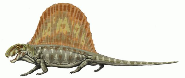 Dimetrodon "Dinosaur" Reptile Foot (050223d)....ON HOLD 05/0 for SS ... 05/02/23 - Image 2