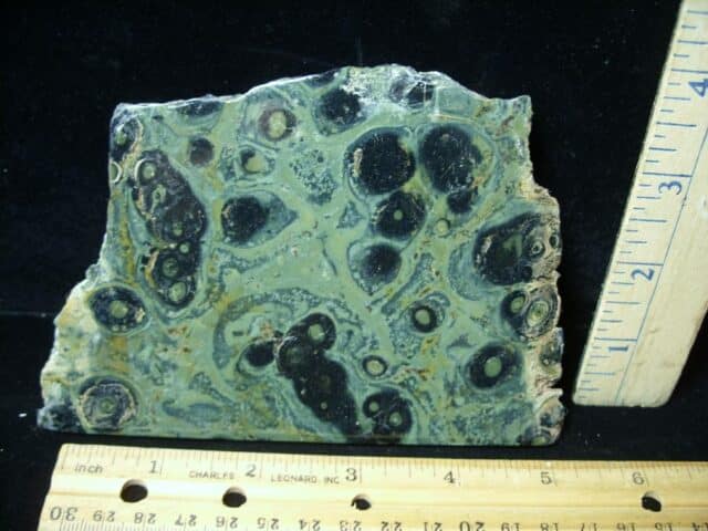 Fossilized Stromatolites (050723d)