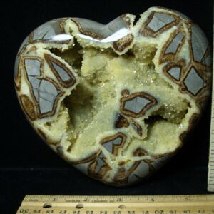 Large Septarian Heart  (052923m)